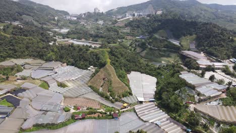 general landscape view of the brinchang district within the cameron highlands area of malaysia