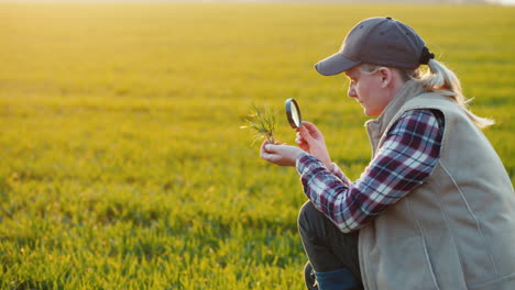 joven agrónoma estudiando brotes en el campo