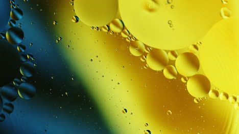 real close up oil bubbles in water rotation with color gradient abstract mixing background