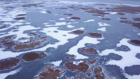 vista aérea de pájaro del lago congelado liepaja durante el invierno, hielo azul con grietas, islas secas de juncos amarillentos, día de invierno nublado, gran tiro de drones avanzando alto