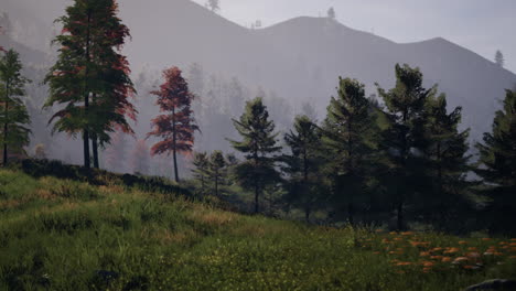 Swiss-Alps-with-Green-alpine-meadow-on-a-hillside-and-surrounded-by-pine-forests