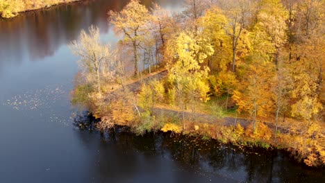 Aerial-top-down-view-of-autumn-forest-with-green-and-yellow-trees