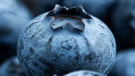 experience the enchanting allure of freshly picked blueberries, illuminated by the soft glow of natural light at a nearby farm during the vibrant harvest season
