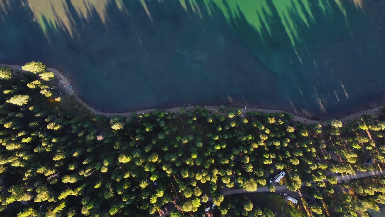 vista de arriba hacia abajo de los árboles del bosque en el lago holland durante un día soleado en montana