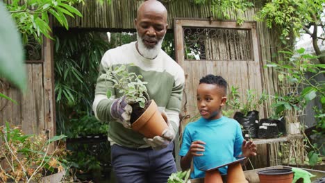 Happy-senior-african-american-man-with-his-grandson-potting-up-plants-and-using-tablet-in-garden