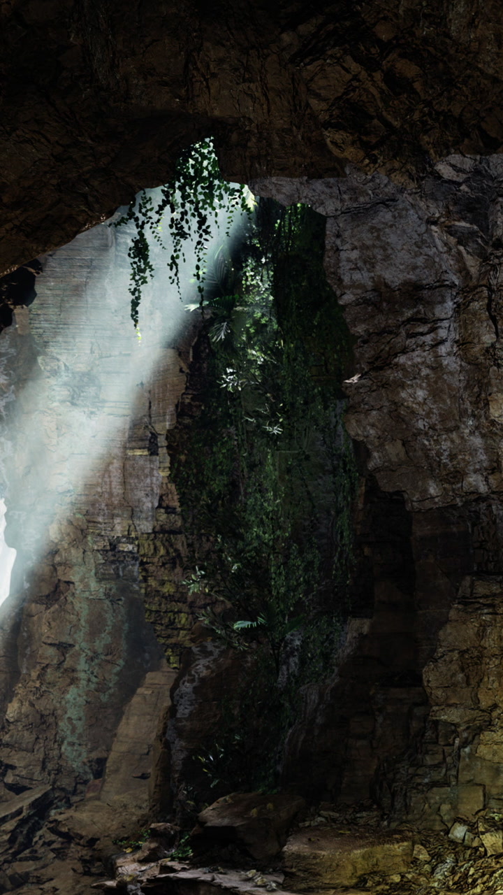 Light shining through cave opening with greenery around in the forest