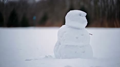 cute snowman in a snowy landscape