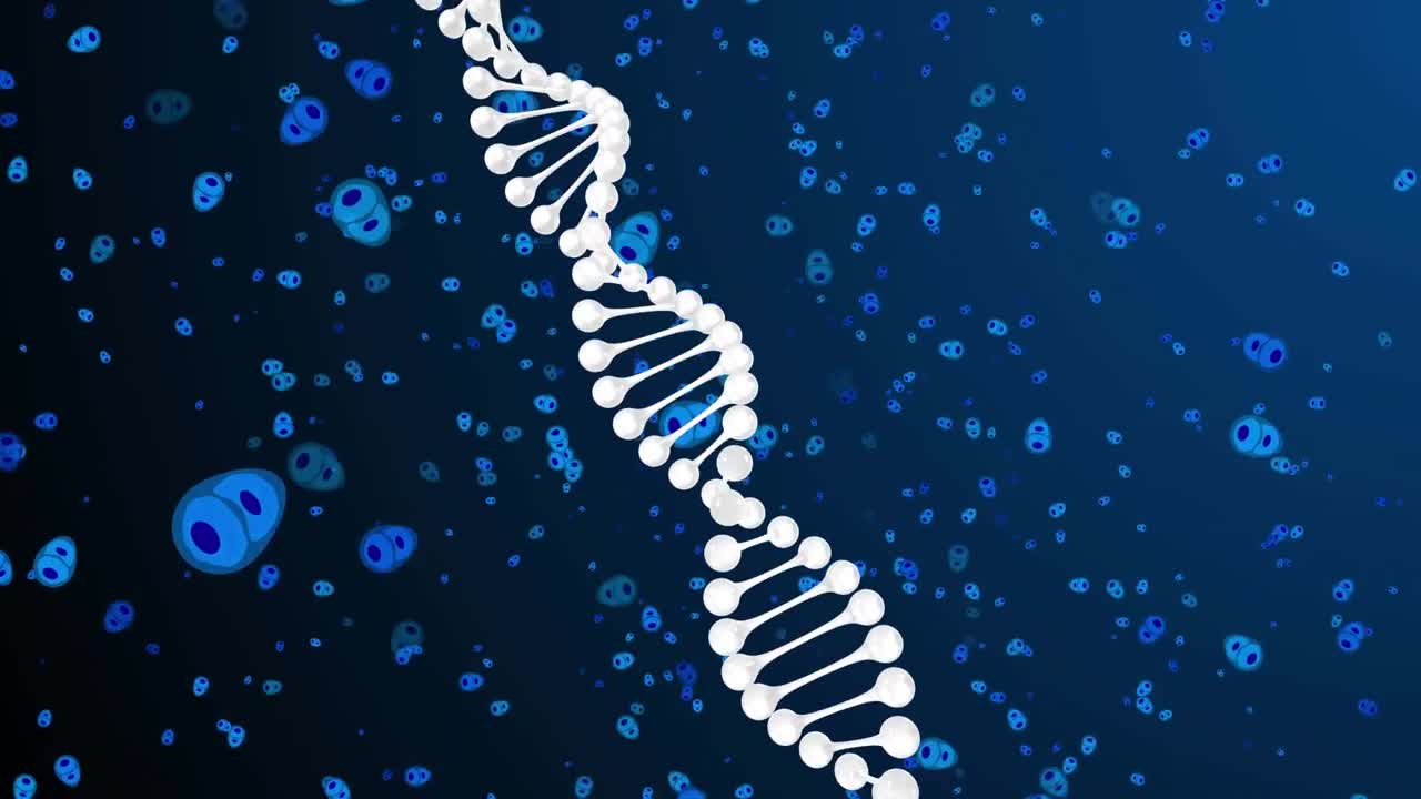 파란 바탕에 파란 세포 위에 dna의 애니메이션