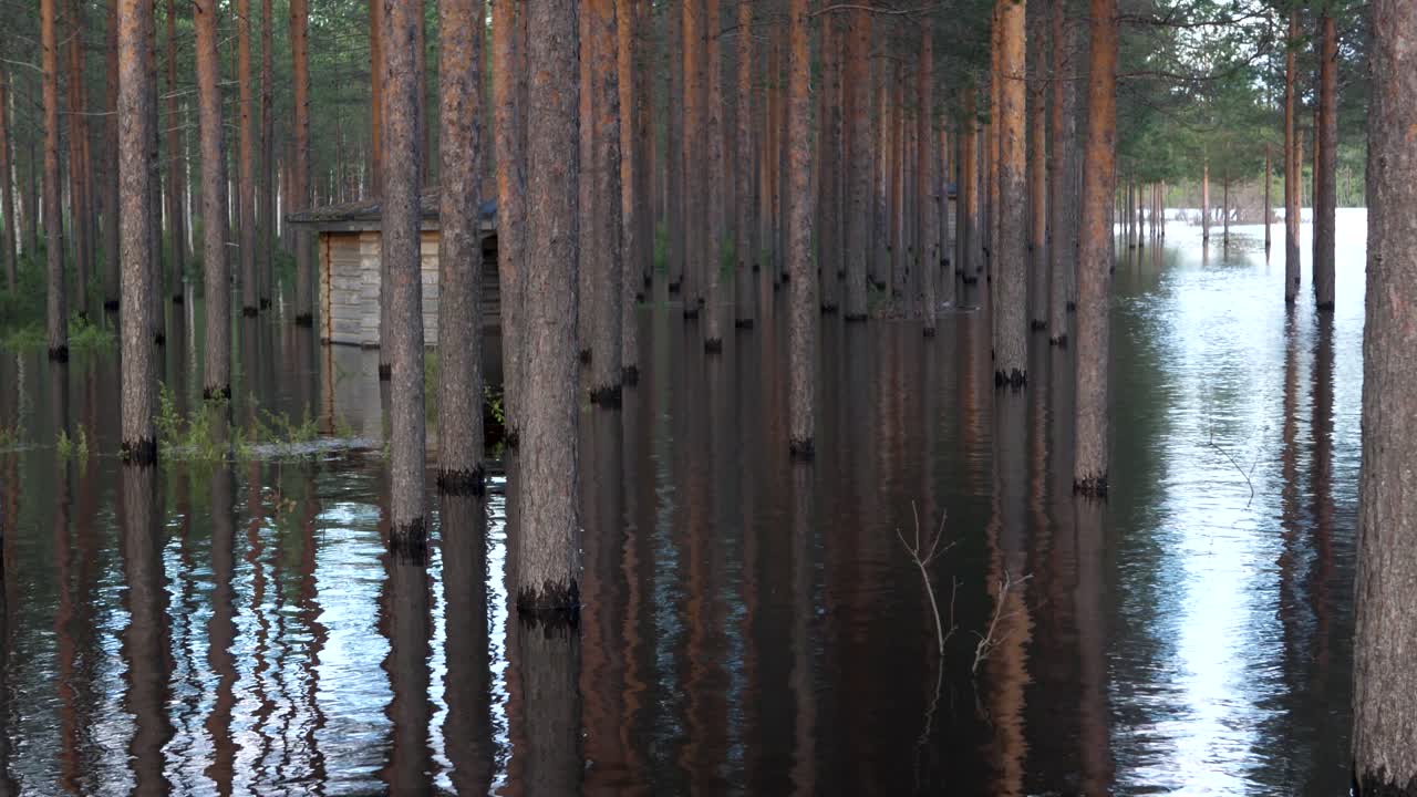 스웨덴 북부의 봄 동안 범람한 강 개요
