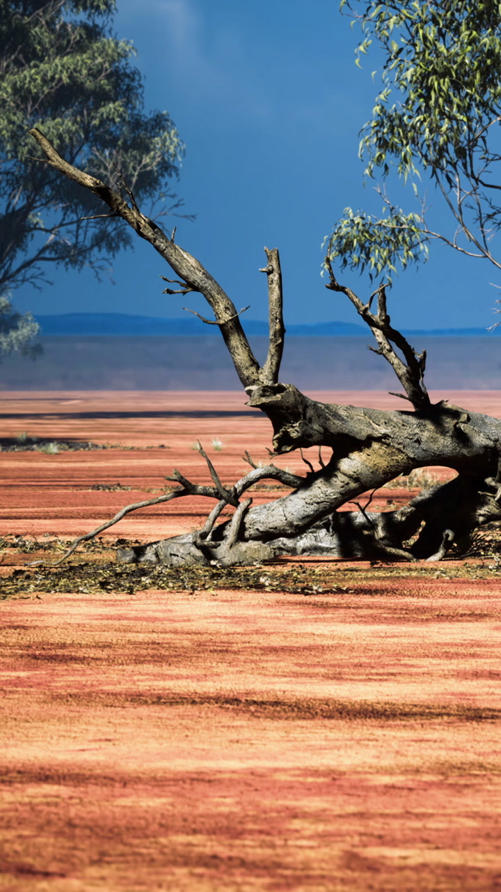 Serenity in the outback as nature reveals its stunning colors at dawn