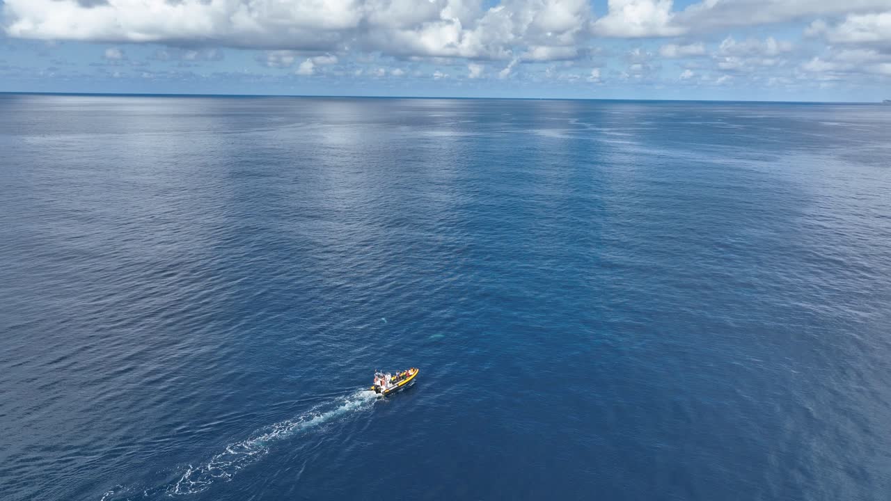 el barco de observación de ballenas navega lentamente cerca de los delfines en el océano abierto, aéreo