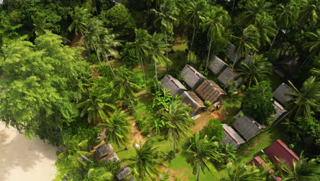 Aerial-tilt-down-shot-of-tropical-palm-trees-with-luxury-apartment-houses-near-beach-on-Koh-Lanta-Island,-Thailand