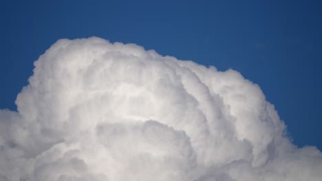 close up white cumulus cloud, blue sky background, static, low angle