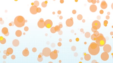 animation of colourful spots over white background