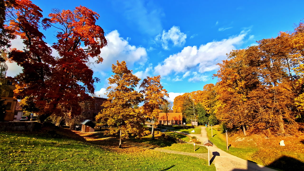 Pan movement capturing autumn vegetation in full seasonal transformation