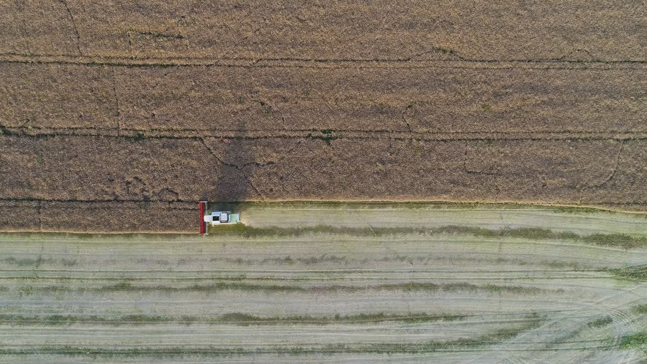 필드 6에서 작물을 수확하는 기계