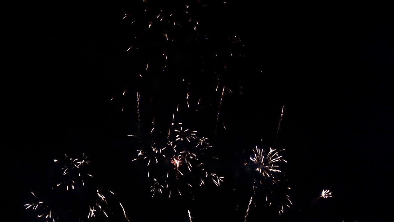 Colorful Firework display at night on sky background
