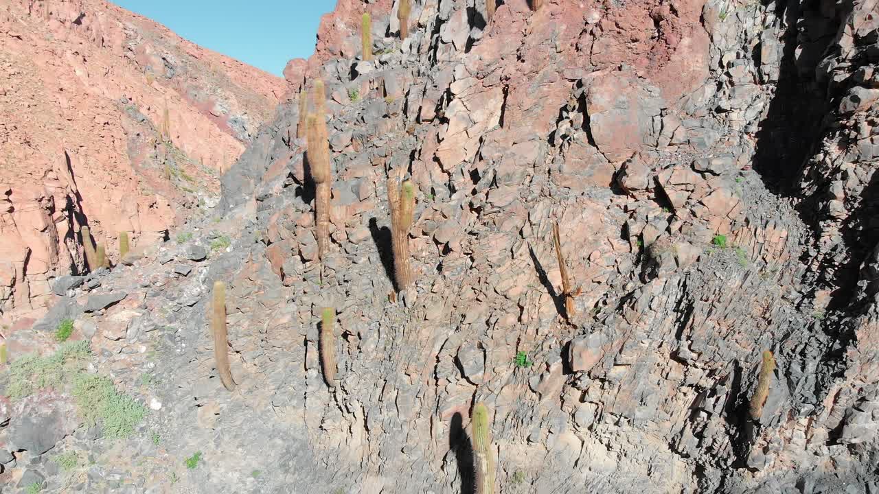 toma cinematográfica aérea dentro bajando un popular lugar de trekking del cañón de cactus gigante cerca de san pedro de atacama en el desierto de atacama, norte de chile, sudamérica