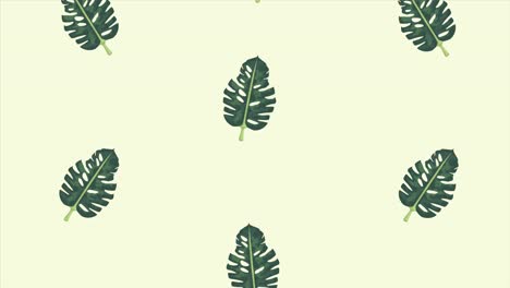 hojas exóticas tropicales ecología patrón de animación fondo