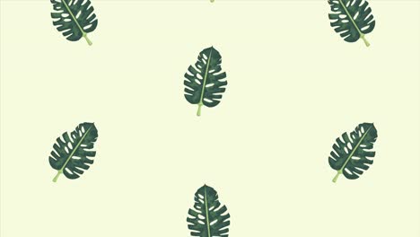 tropical exotics leafs ecology animation pattern background