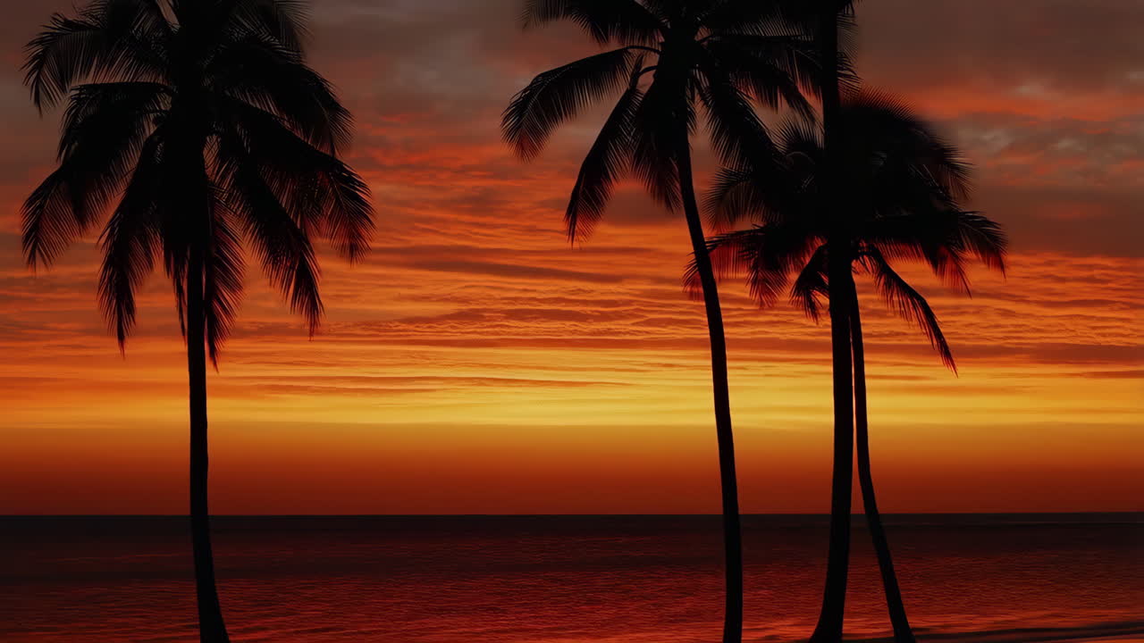 Tropical Sunset with Palm Tree Silhouettes over the Ocean