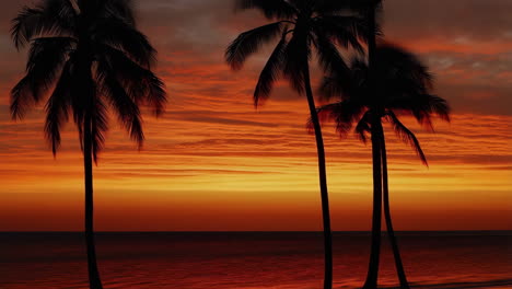 tropical sunset with palm tree silhouettes over the ocean