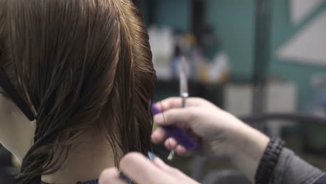 young woman having her hair dyed by beautician at parlor
