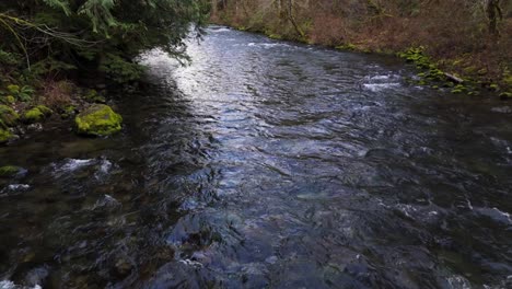 Relaxing-view-on-flowing-Cedar-River-in-Forest-in-Washington-State