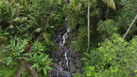 aerial overhead flight over gembleng waterfall with stream in tropical rainforest of bali