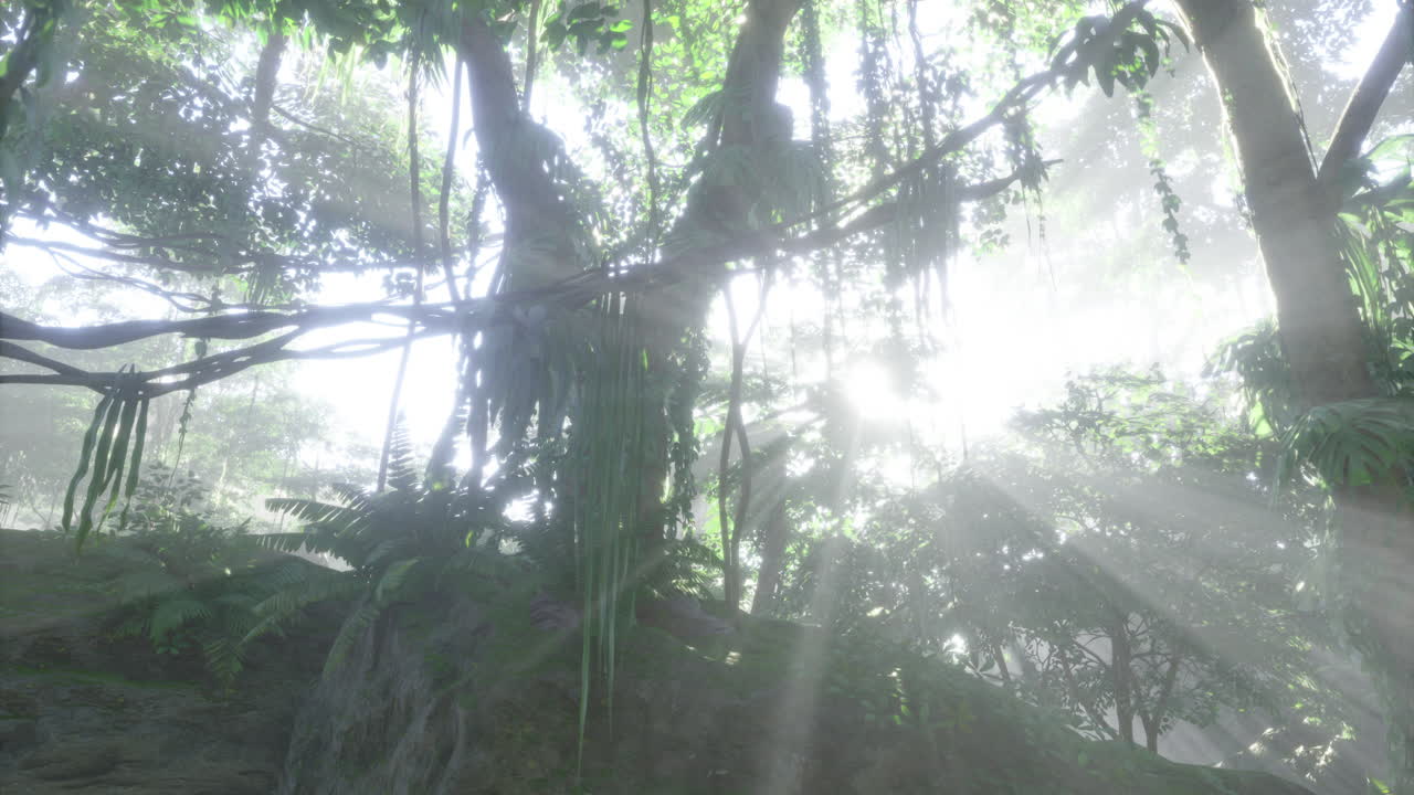 Sunlight filtering through lush foliage in a vibrant jungle paradise