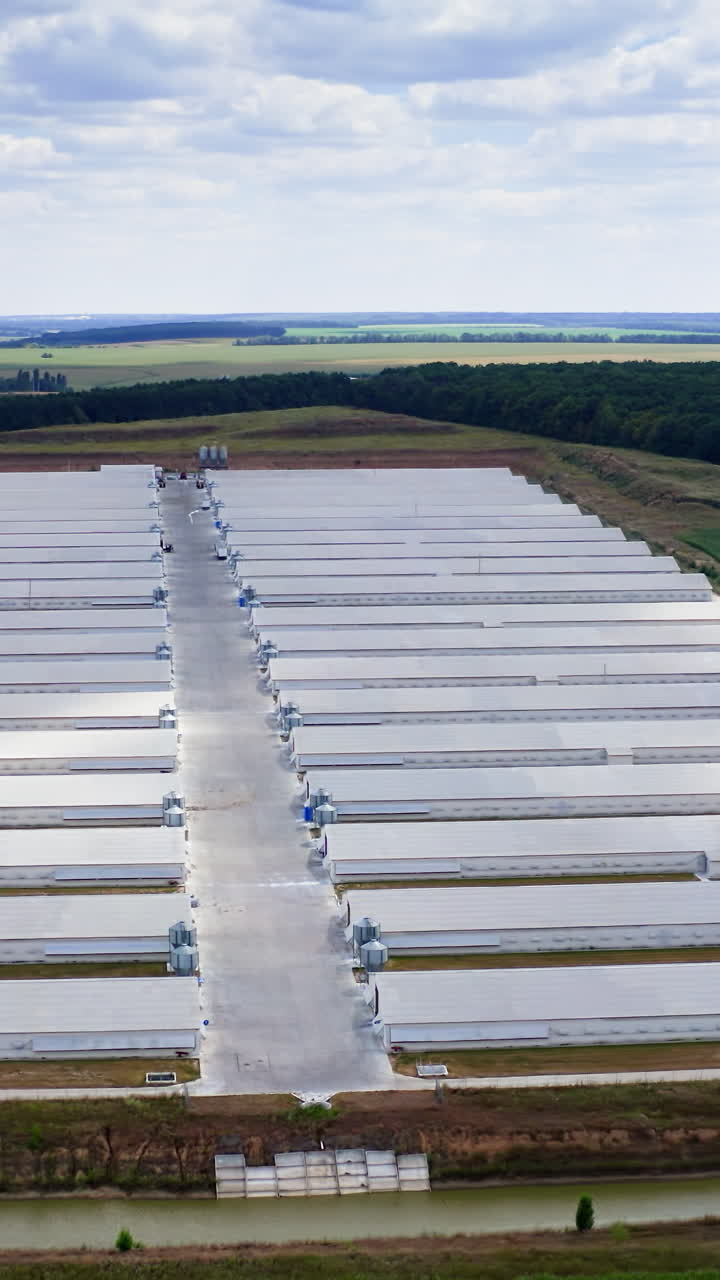 Agricultural new modern buildings in rural area. Poultry farm built in field. Industrial place for cattle growing. View from above. Vertical video