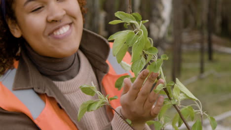 nahaufnahme einer afroamerikanischen aktivistin, die die blätter eines baumes im wald beobachtet