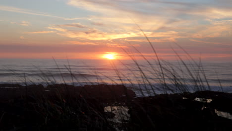 beautiful sunset with grass in the foreground