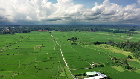 Luftaufnahmen-Von-Drohnen,-Reisfelder-Auf-Bali