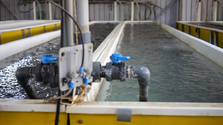 Water tanks in aquaculture facility, establishing shot of aqua farm