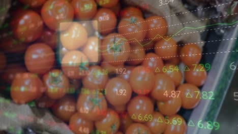 animation of changing numbers and graphs moving over fresh tomatoes for sale in market