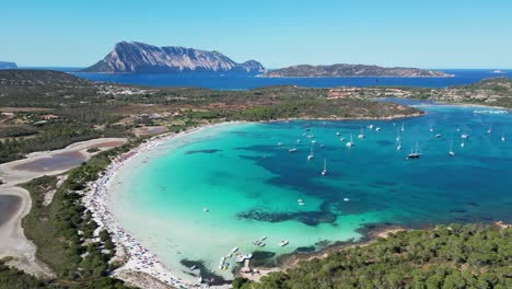 Brandinchi-Beach,-Turquoise-Blue-Bay-and-Salt-Lakes-in-San-Teodoro,-Sardinia---4k-Aerial