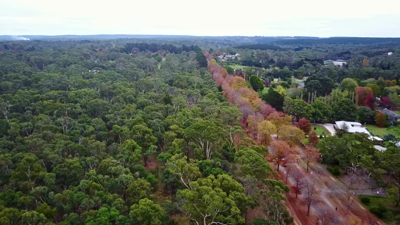 imágenes aéreas sobre la avenida de honor en macedonia, central victoria, australia