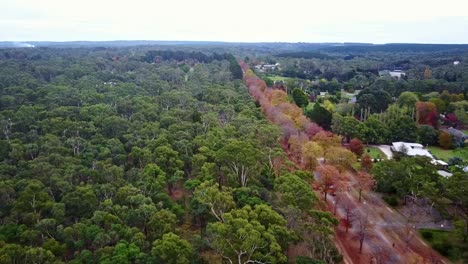 Imágenes-Aéreas-Sobre-La-Avenida-De-Honor-En-Macedon,-Victoria-Central,-Australia