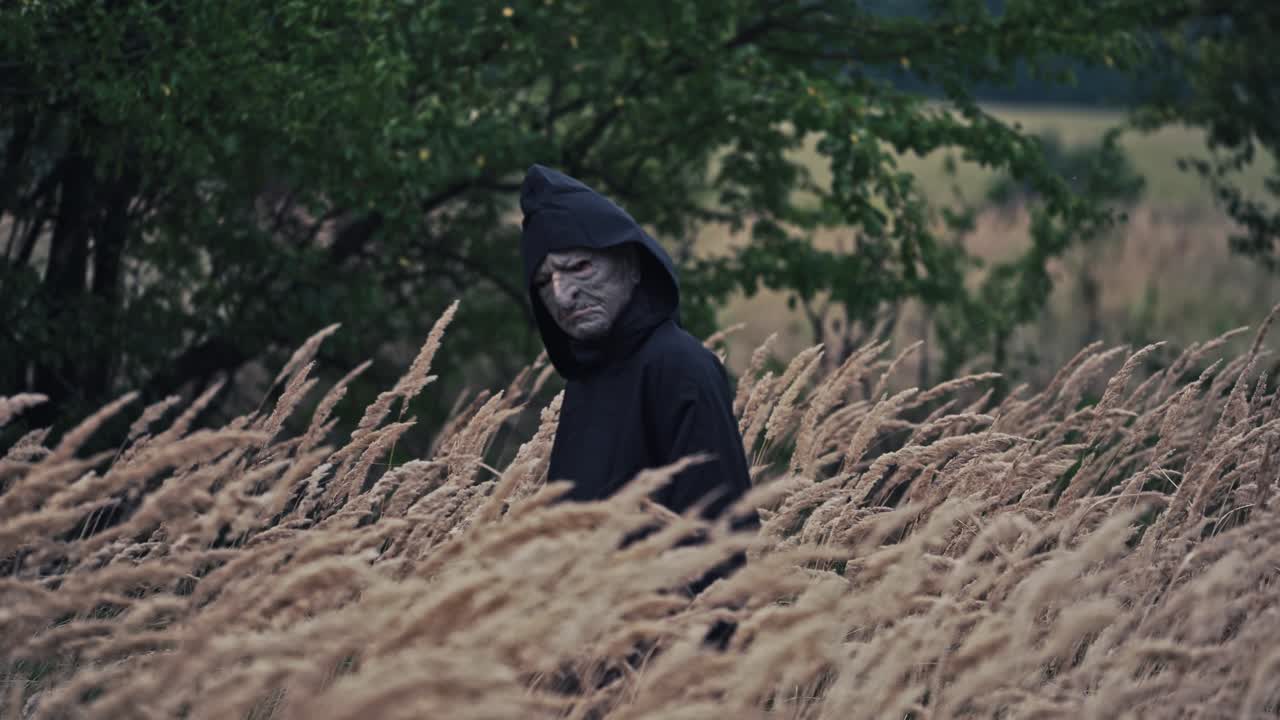 Dark ghost in black cloak with hood among nature. Wheat field and scary witch walks and looks on camera. Horror and Halloween concept.