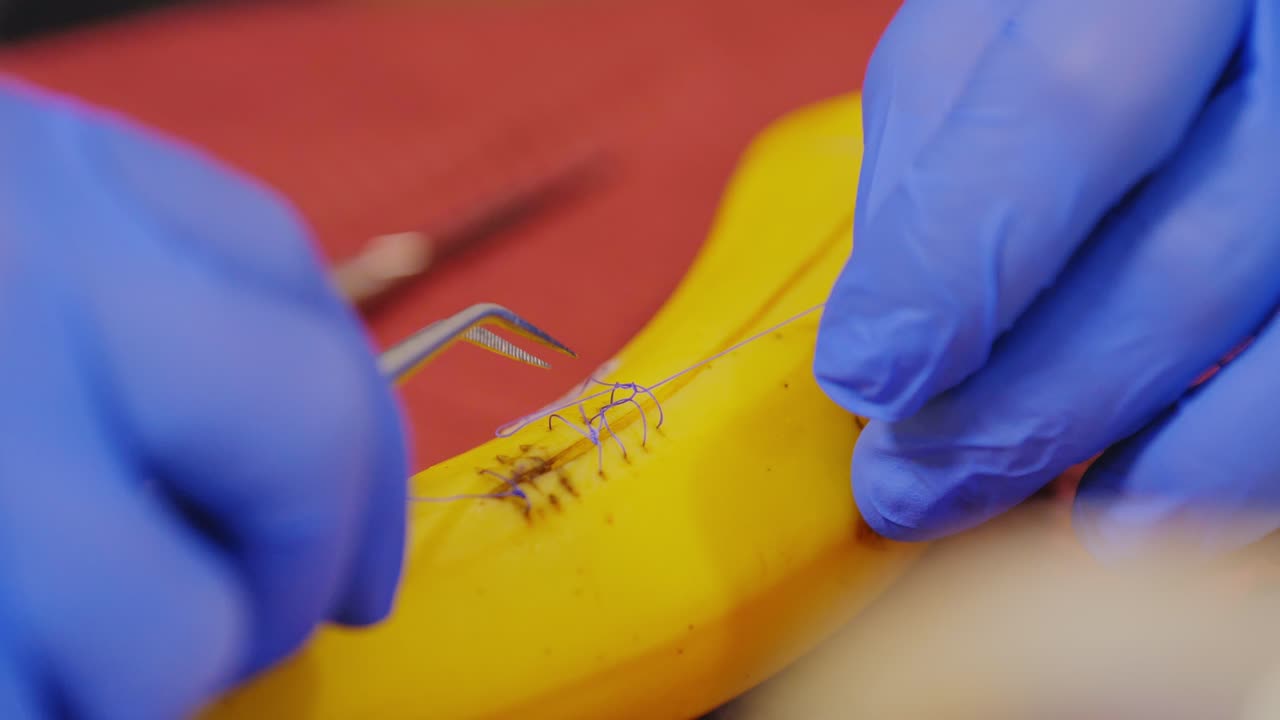Close Up of Suturing Technique Practice on Yellow Banana by Surgical Student