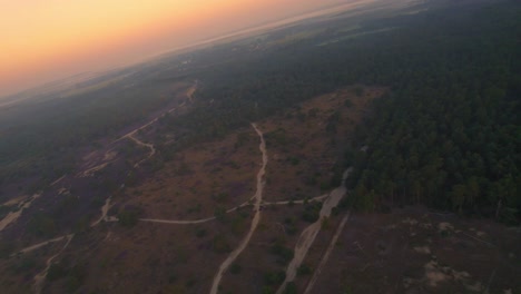 vuelo fpv sobre el bosque envuelto por la niebla durante la hora dorada