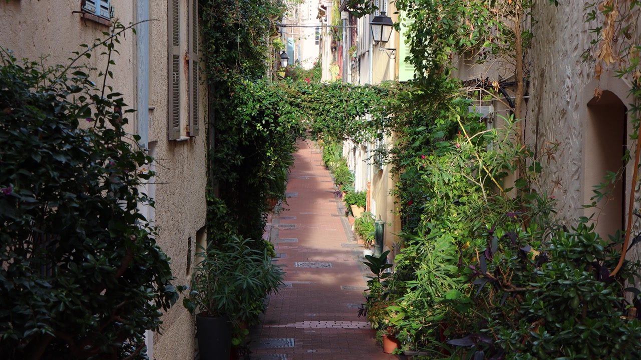 Stretto vicolo pedonale con piante verdi tra vecchi edifici in pietra ad Antibes