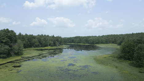 Un-Dron-Se-Eleva-Desde-La-Superficie-Del-Lago-Fitzgerald-En-Northampton,-Massachusetts,-Para-Revelar-Un-Claro-Entre-La-Maleza-De-Los-Castaños-De-Agua