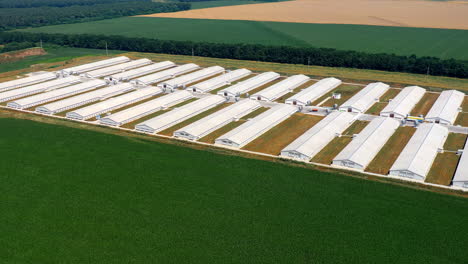 farm houses in nature. modern farm with long buildings for agricultural business on green field. agricultural territory for poultry production. aerial flight.