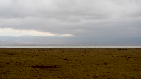 Ngorongoro-Crater-and-Lake-natural-preserve-in-Tanzania-Africa-with-vehicle-entering-shot-left,-Locked-wide-angle-shot