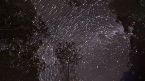 australia hermosa impresionante vía láctea cruz del sur noche estrella senderos 5 timelapse por taylor brant película