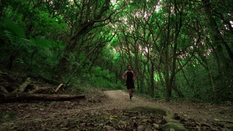 toma amplia del hombre corriendo por la pista forestal en nueva zelanda