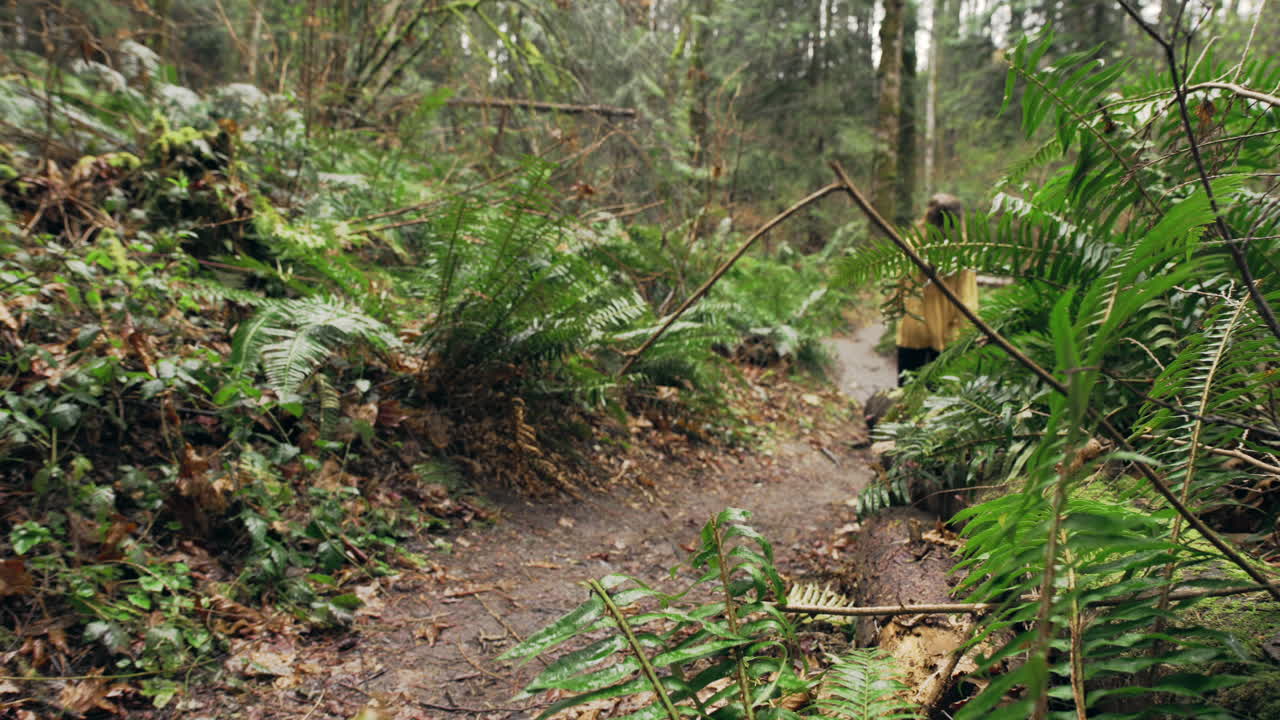 밝은 노란색 재킷을 입은 젊은 여성이 녹색 이끼 숲을 걷고 양치류 사이에 총을 쏜다