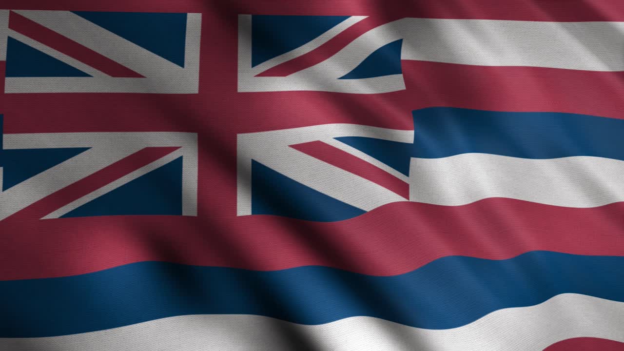 하와이의 발을 흔들고